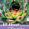 ORD 4 ALL ABOUT PLANT LIFE